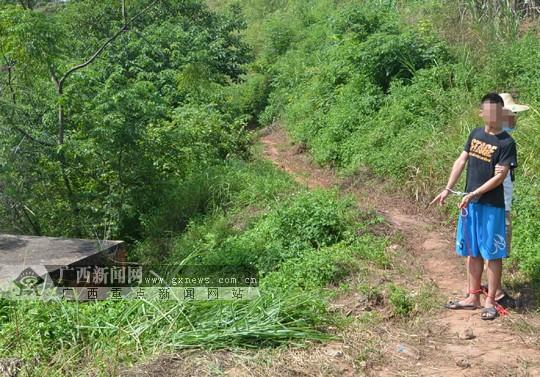 һ���ֻ�������Ѫ�� ���ӽ�ƻ���ֻ���ܵ�ͱ����