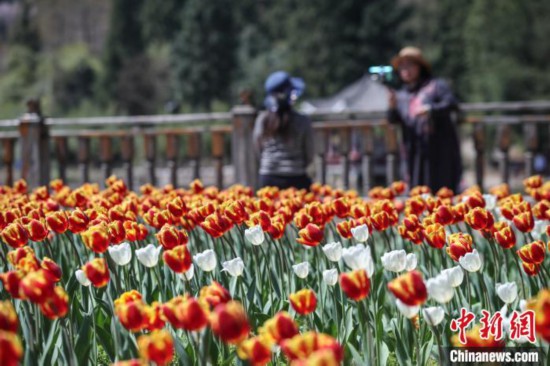 ����������������ο��߽���԰������ĩʱ��