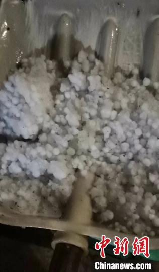 17����������ʡ��ɽ�ݶ��ͻ����������ɽ��ί��������ͼ