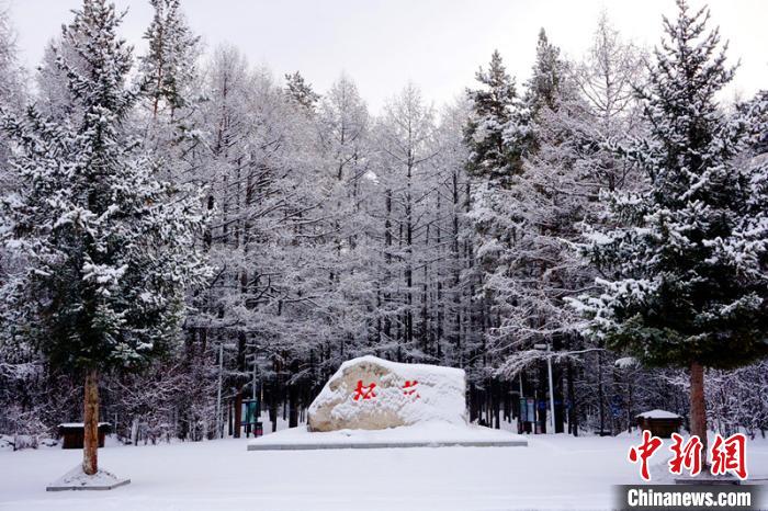 ��֦�Ϲ�����ѩ������������ ��