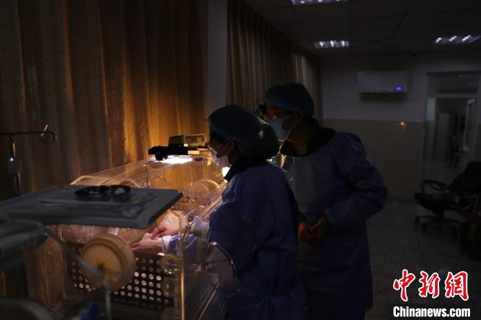 ������Ա�չ�2020��ȫ���׶�Ȧ������è˫��̥���ɶ�����è�����о����ع�ͼ