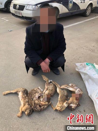 Ϋ���в����ع�����ɭ����Ӹ��ݹ����з��ֵ��������ɹ��ƻ�һ��Ƿ����԰���ץ����������1�ˡ����飬������������ĳǿ�Ƿ��Բ�Ұ��222ֻ��ɽ��ʡ��������ͼ