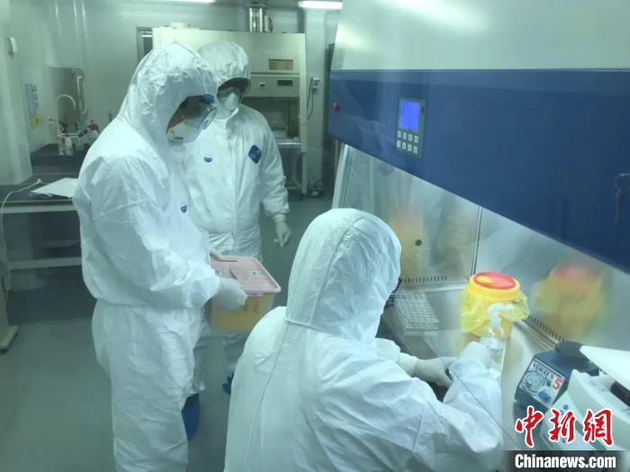 �����Ա�Ӱ�ӵ���ɱ걾��⹤�������ϴ�ѧ�����д�ҽԺ��ͼ