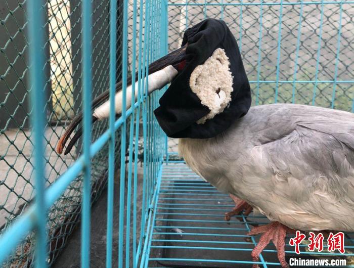 ������ص��������ĵ��������q�۾����ڲ����š�С����ˮ ��ͼ