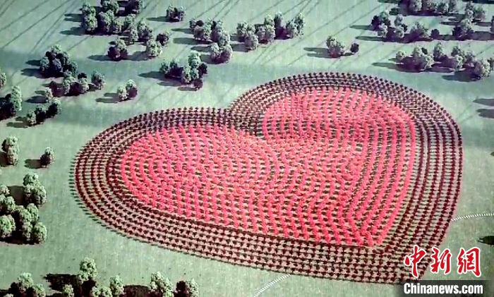 Ԯ��ҽ�ƶӼ�����Ч��ͼ ������ ��