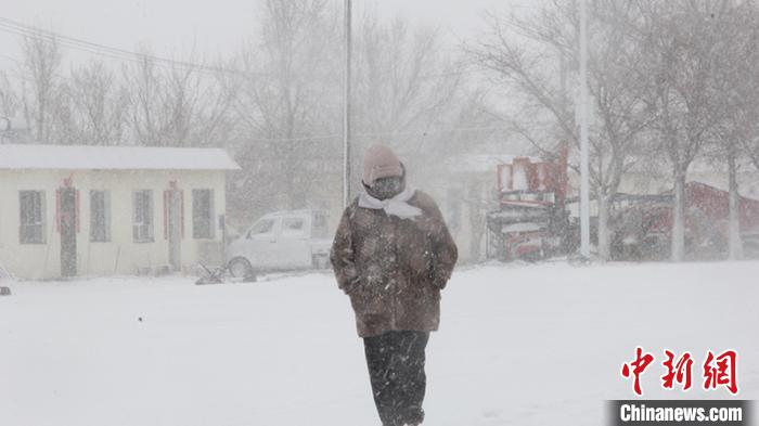 ���������ʵ���������� ��