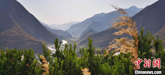 ͼΪ������ֵ��̻��֡���κ���� ��