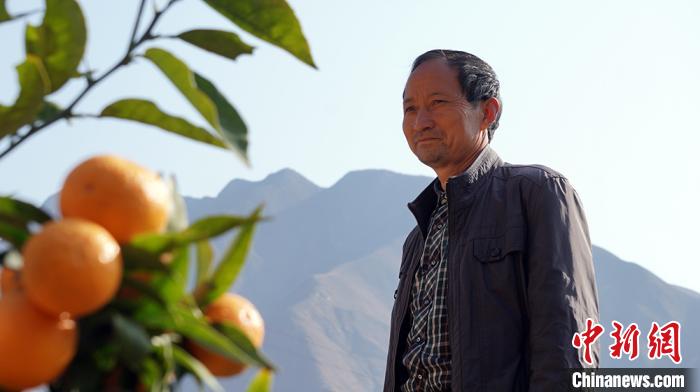 ͼΪ����������Լ��ġ�����ʷ������κ���� ��