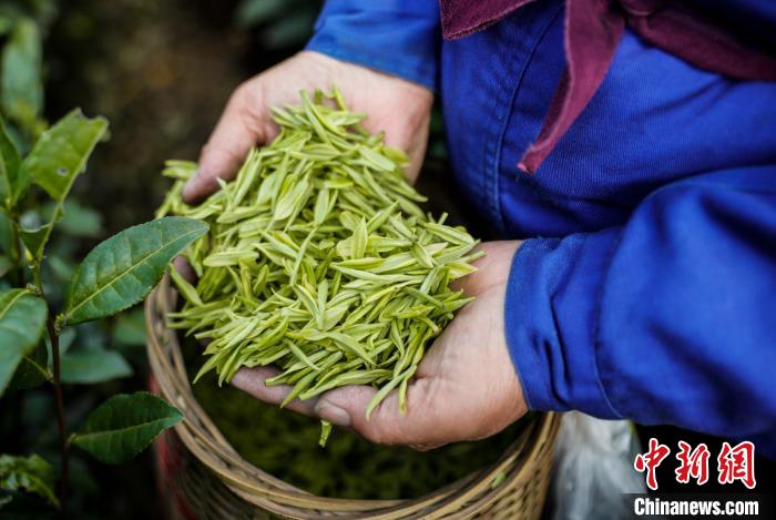 �ղ�ժ�µİ����ײ� �Ż� ��