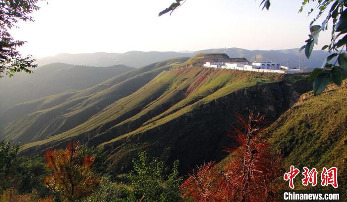 Ա�����ż���ɫ�������Ż��㡣�������� ��