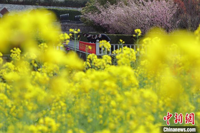 ���вμ���ʽ�Ĺ�����Ա���Ϲ��������ˡ����� ��