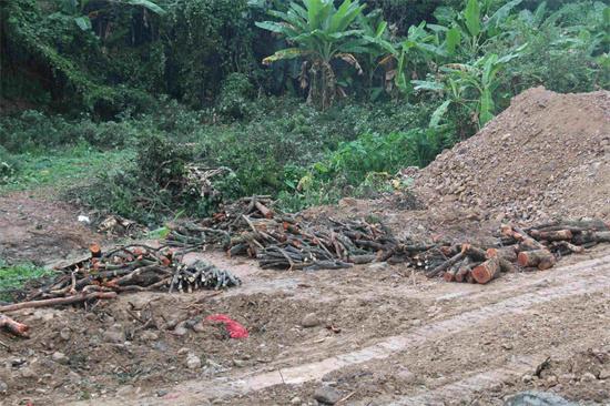 �㶫����ɽ:��������������̬�����Ŀ���֮·