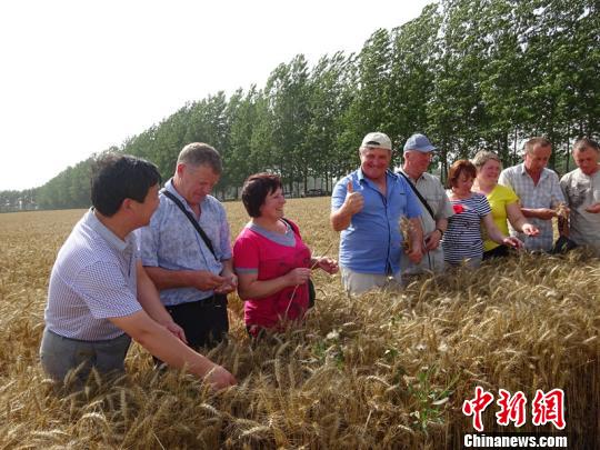 �ڿ���ũ�����ڻƷ���ũ�����콻������������ ��
