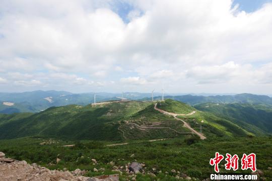 �㽭���������糡����Ͷ�� �귢����Լ1.3��ǧ��ʱ��ʩս�ɡ���