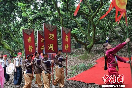 ������֦����ʮ��׳�� ����ǿ ��