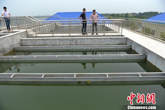 ֦��������ũ������ˮ�������ˮ�� ���� ��