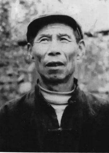 ��ͦï
