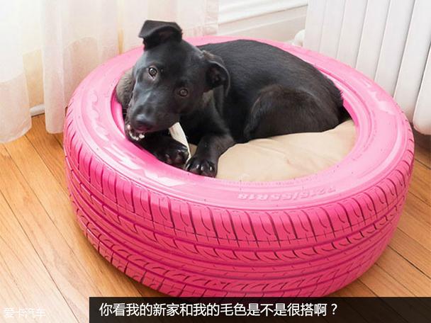 ����̥DIY