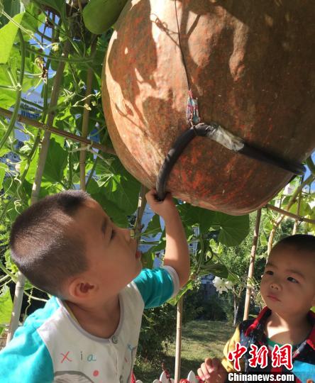 ������С��ϡ������ܶ���ǰ��Χ�ۣ�Ҳ��Ϊ������̽����ѧ�����Ż��⡣�������� ��