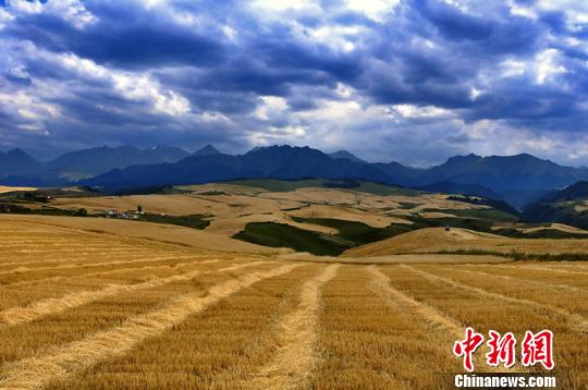 ��ɽ�������С�� ��