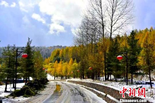 ͼΪ�й�ѩ��ʮһ�ڼ�ѩ��ɫ �����ṩ ��