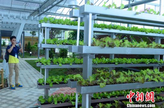 ���Ĳ��л�ũҵʾ��԰�ھ�������� ��