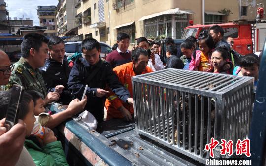 ����Ⱥ������������������� ��