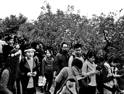 �ο�̫�࣬��ɽ������Ϊ��