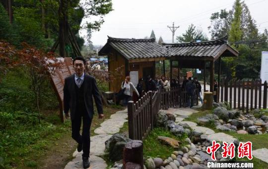 �������������ƺ������������ ������ ��