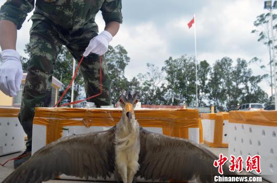 ͼΪ����Ұ������������� �ƿ�ΰ ��