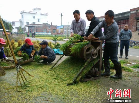 11��4�գ���ɽ��ũҵ�ع����ػƹ������´��������ڴ����롣��ŷ���� ��