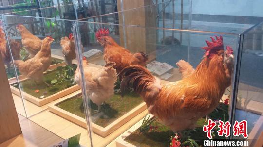 �㶫����ũ��ģ�ͼ�չ������������