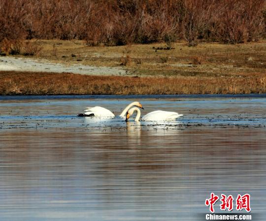���붬������Ȼ�����½���������첻�庮�䣬��ˮ��Ϸˮ����ʳ��������ھ�����Ϸ����Ȼ�Եá��������� ��