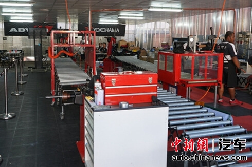 �ſƺ����ڸ������������е���̥��