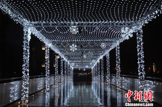 ͼΪ�ƹ���ֳ� ����S ��