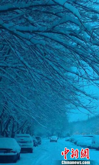 ѩ������������˩�� ��