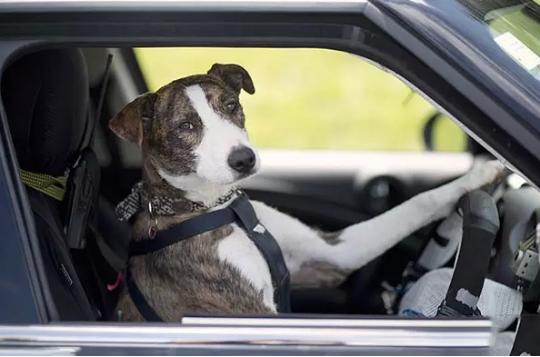 �̵����绥���������Щ�λ������Ӳ��