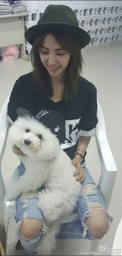 �������롰�ݻ��� ������΢����ͼ