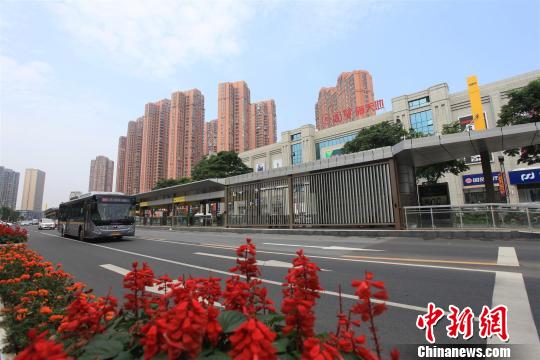 �˲�BRT����ʯ�� ��