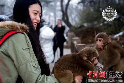 �׽�(��Ӱ/����)������2016��üɽ�ĺ���Ǹ��ѵ������ˣ�