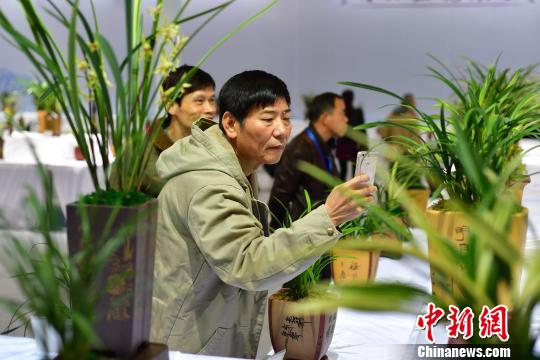 �ֳ�չ������2���辫Ʒ���� �����F ��