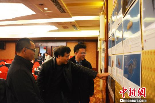 ͼΪר���ֳ���������Ҷï ��