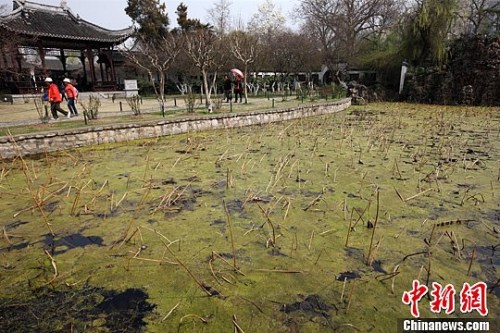 ����ͼ�������緢 �� ��