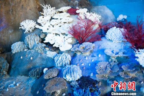 ����ͼ��ͯ��ǿ����