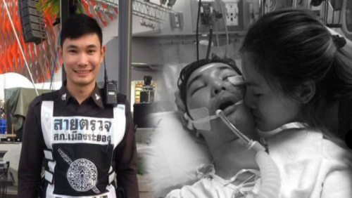 ͼƬ��Դ��̩���������ձ���