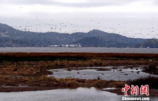 ��Ⱥ��ӵİ���Ѽ�������ӿ�ʪ���Ͽհ��衣���������ɸ� ��