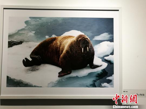 ͼΪ�����������Ʒ�������� ��