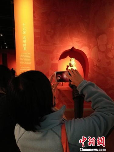 �����������������t ��