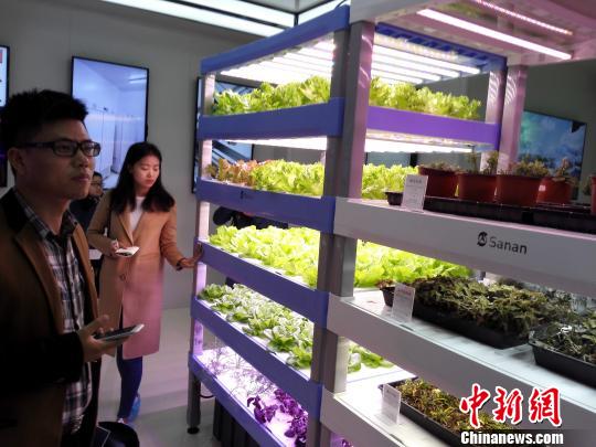 ý����߲η�ֲ�﹤���������ɽ ��