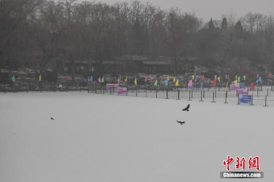 1��5�գ������ڳ�������ɫԤ����ͬʱӭ��2017���׳���ѩ��ͼΪѩ��ı�������Ժ��԰�� ��������� ��� ��